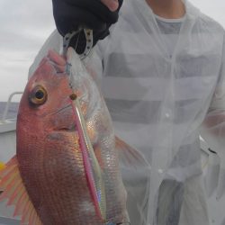 遊漁船 新鋭丸 釣果