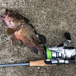 神戸ミッドワインド2