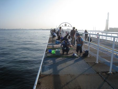 オリジナルメーカー海づり公園(市原市海づり施設) 釣果