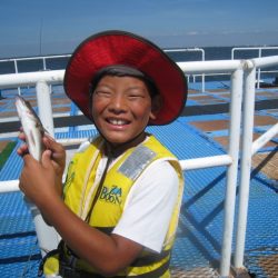 オリジナルメーカー海づり公園(市原市海づり施設) 釣果