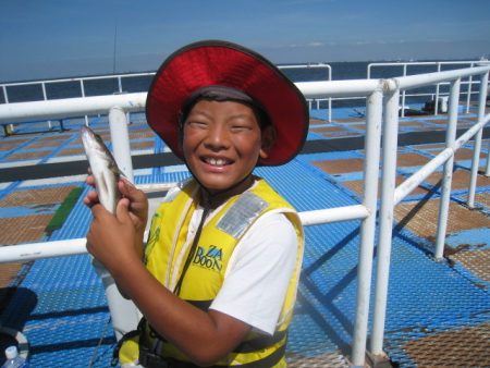 オリジナルメーカー海づり公園(市原市海づり施設) 釣果