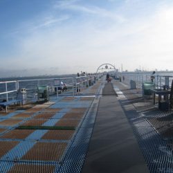 オリジナルメーカー海づり公園(市原市海づり施設) 釣果