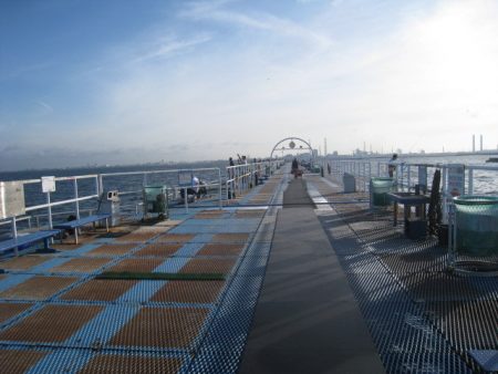 オリジナルメーカー海づり公園(市原市海づり施設) 釣果