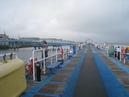 オリジナルメーカー海づり公園(市原市海づり施設) 釣果