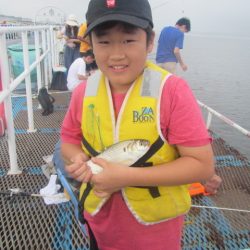 オリジナルメーカー海づり公園(市原市海づり施設) 釣果