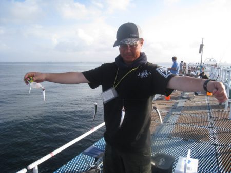 オリジナルメーカー海づり公園(市原市海づり施設) 釣果