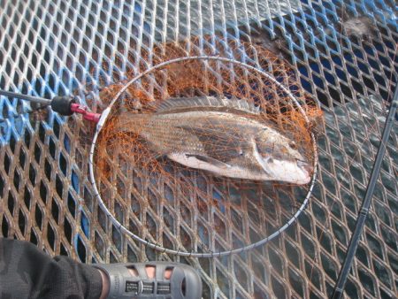 オリジナルメーカー海づり公園(市原市海づり…