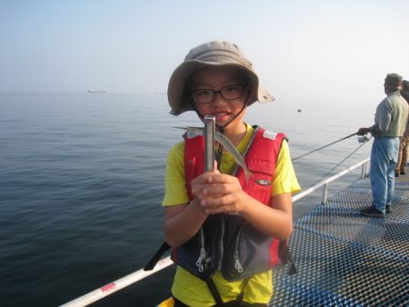 オリジナルメーカー海づり公園(市原市海づり施設) 釣果