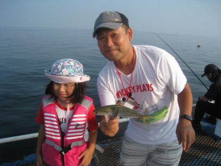 オリジナルメーカー海づり公園(市原市海づり施設) 釣果