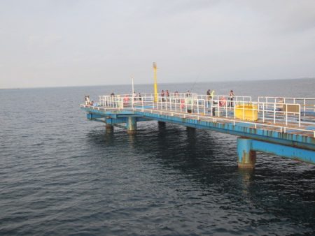 オリジナルメーカー海づり公園(市原市海づり施設) 釣果