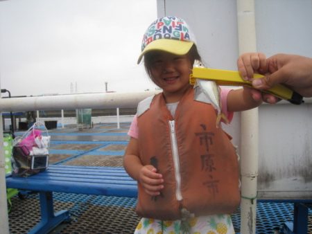 オリジナルメーカー海づり公園(市原市海づり施設) 釣果