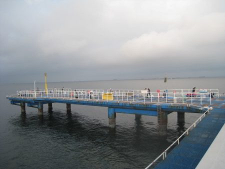 オリジナルメーカー海づり公園(市原市海づり施設) 釣果