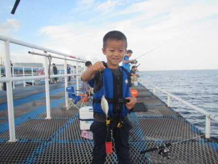 オリジナルメーカー海づり公園(市原市海づり施設) 釣果