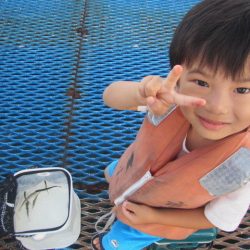 オリジナルメーカー海づり公園(市原市海づり施設) 釣果