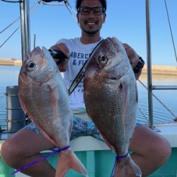 さんさん丸 釣果