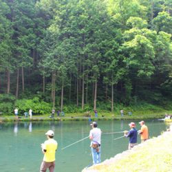 小菅トラウトガーデン 釣果