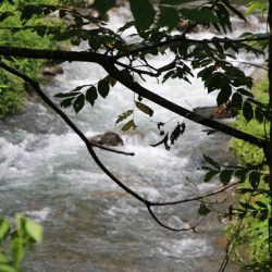 小菅トラウトガーデン 釣果