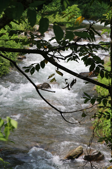 小菅トラウトガーデン 釣果