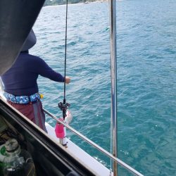 遊漁船 ニライカナイ 釣果