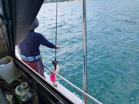 遊漁船 ニライカナイ 釣果