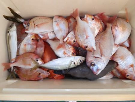 第二むつ漁丸 釣果