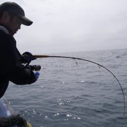松鶴丸 釣果