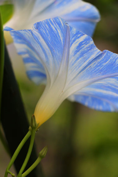 小菅トラウトガーデン 釣果