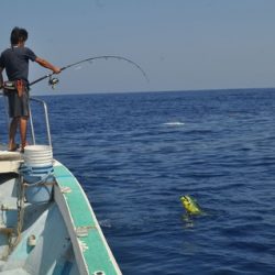 八海丸 釣果