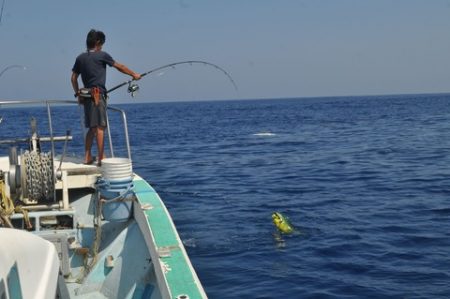 八海丸 釣果