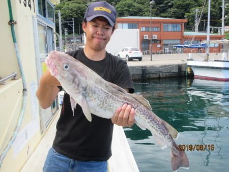 大進丸（新潟） 釣果