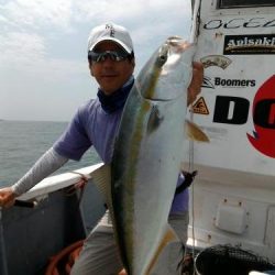 ファイヤードルフィン 釣果