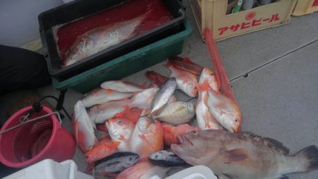 遊漁船 新鋭丸 釣果
