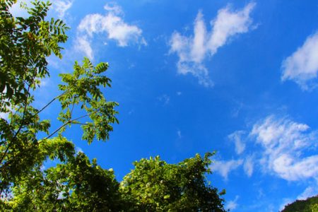 小菅トラウトガーデン 釣果