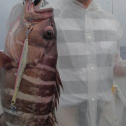 遊漁船 新鋭丸 釣果