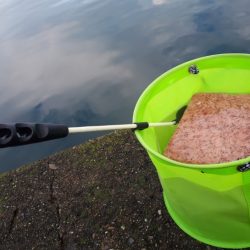 アイゴの35オーバー！！！！！！！