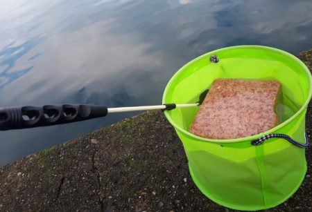 アイゴの35オーバー！！！！！！！