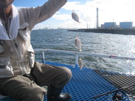 オリジナルメーカー海づり公園(市原市海づり施設) 釣果