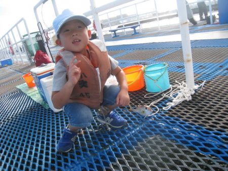 オリジナルメーカー海づり公園(市原市海づり施設) 釣果