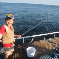 オリジナルメーカー海づり公園(市原市海づり施設) 釣果