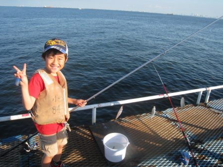 オリジナルメーカー海づり公園(市原市海づり施設) 釣果