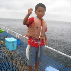 オリジナルメーカー海づり公園(市原市海づり施設) 釣果