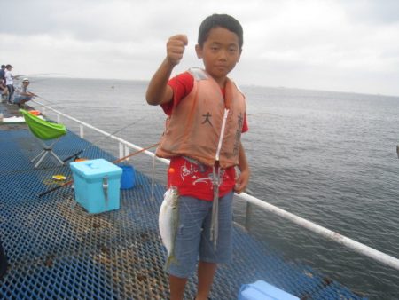 オリジナルメーカー海づり公園(市原市海づり施設) 釣果