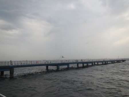 オリジナルメーカー海づり公園(市原市海づり施設) 釣果