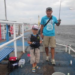 オリジナルメーカー海づり公園(市原市海づり施設) 釣果