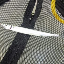 オリジナルメーカー海づり公園(市原市海づり施設) 釣果