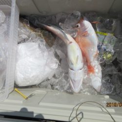 大進丸（新潟） 釣果