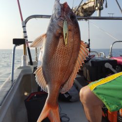 海峰 釣果