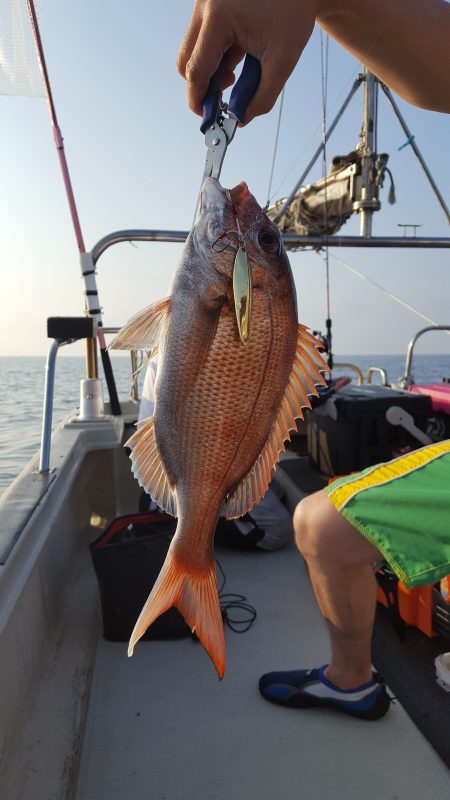 海峰 釣果