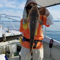 遊漁船 ニライカナイ 釣果