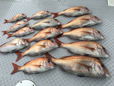ミタチ丸 釣果
